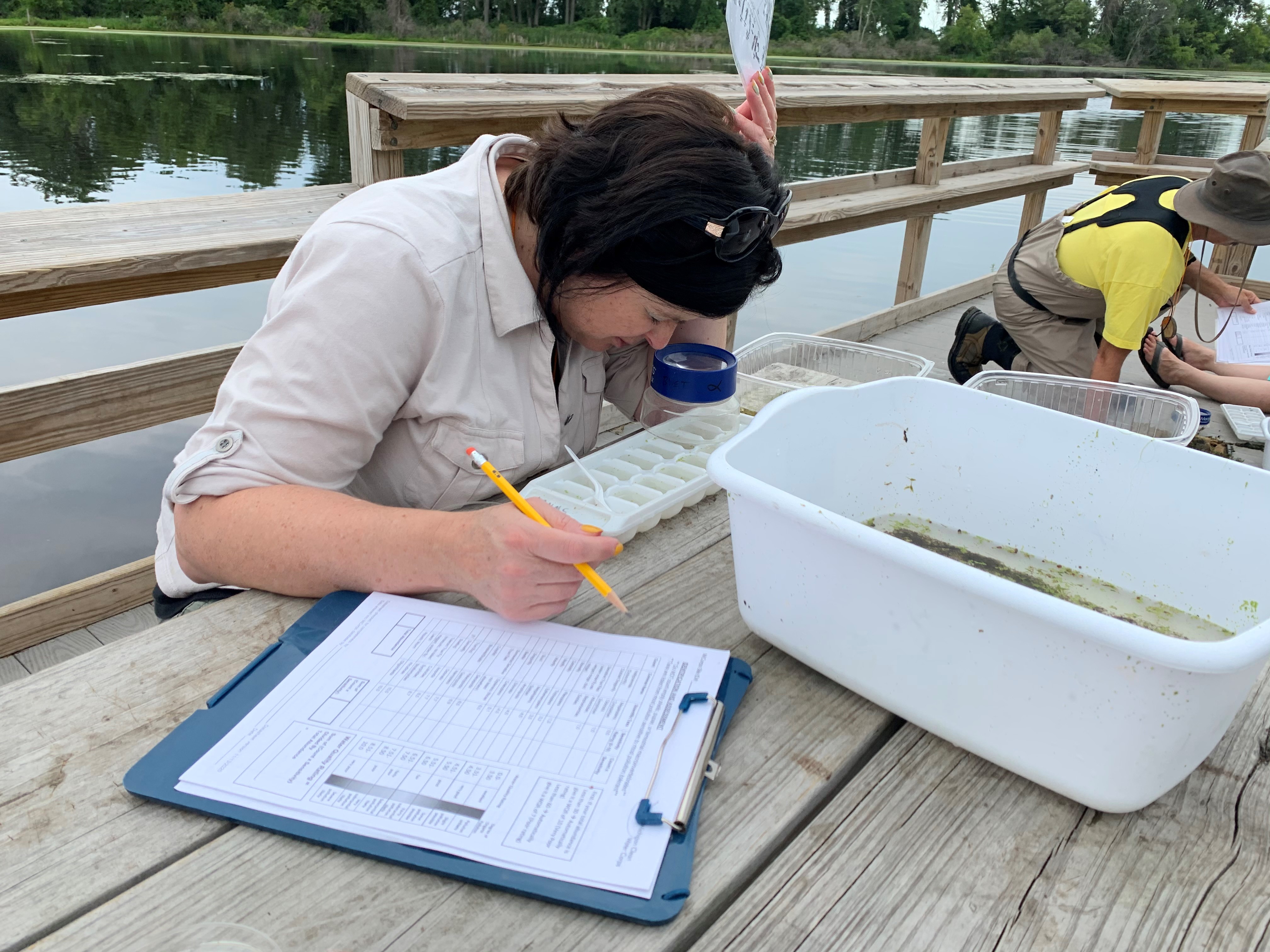 A woman looks into a magnifier to identify organisms in water.